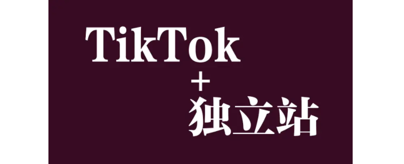 TikTok引流到独立站